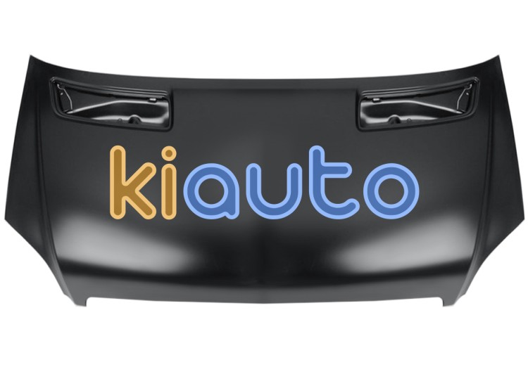 Capo mercedes sprinter (906) 2006-2013 delantero OE A9067500002