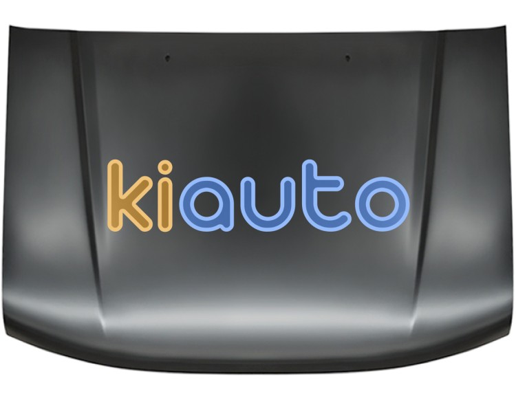 Capo nissan navara 1997-2002 delantero OE 651002S400 / F51002S900