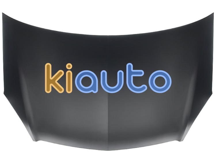 Capo opel zafira b 2005-2007 delantero OE 1160008 / 93184414