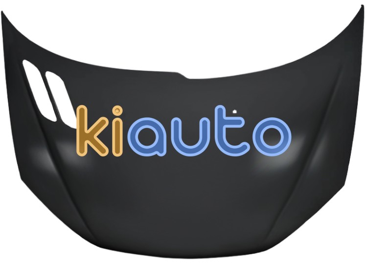 Capo peugeot 206 1998-2008 delantero OE 7901K1