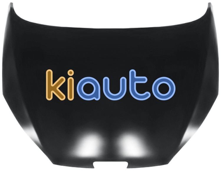 Capo peugeot 407 2004-2011 delantero OE 7901K7