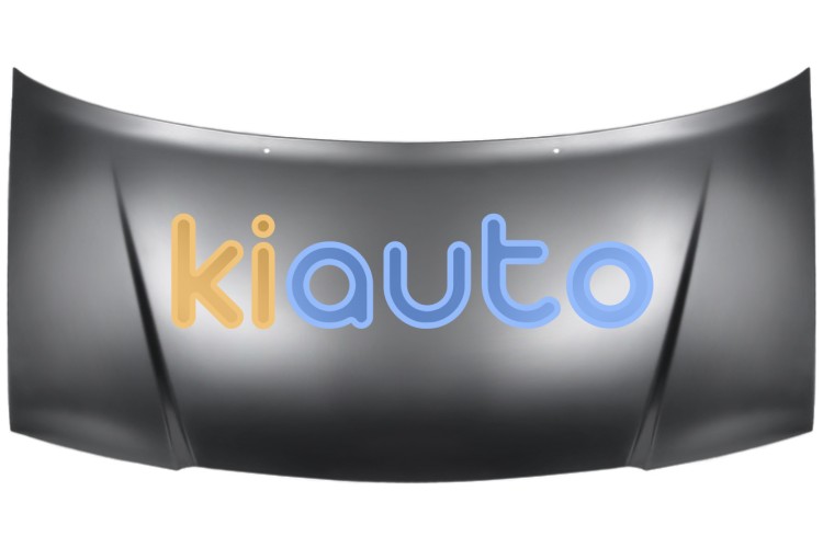 Capo peugeot expert 2003-2007 delantero OE 7801K9
