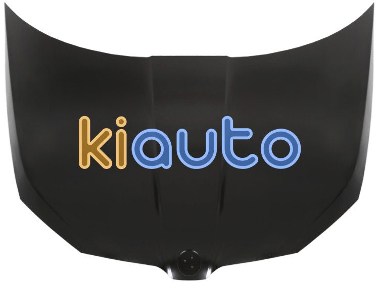 Capo skoda fabia 2018-2021 delantero OE 6V0823031B