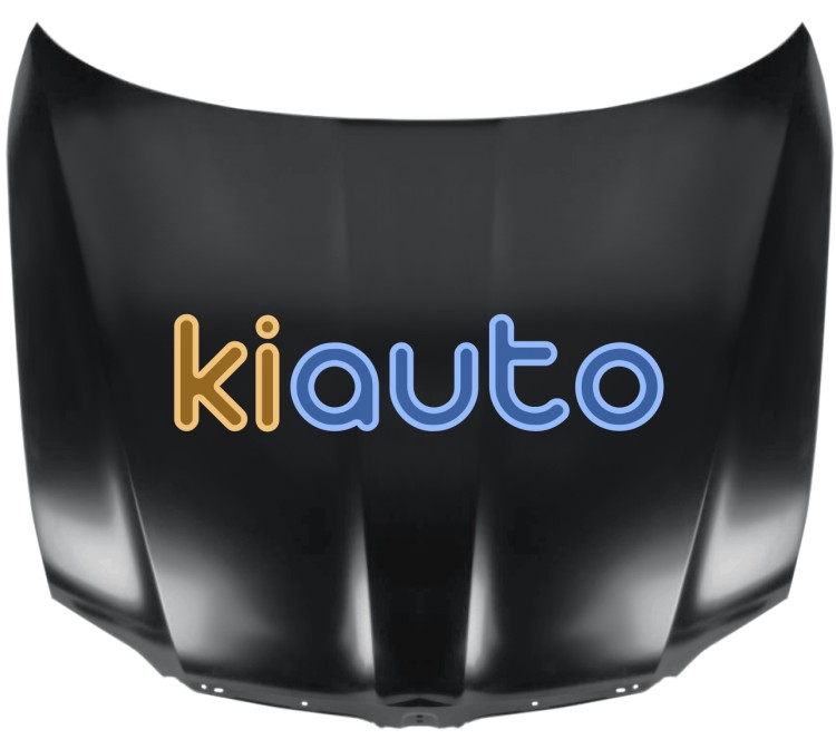 Capo skoda superb 2008-2013 delantero OE 3T0823031
