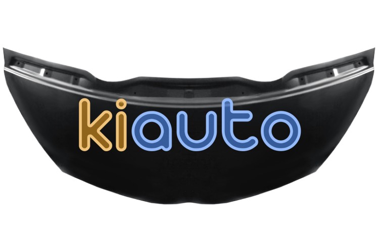 Capo toyota iq 2009-2015 delantero OE 5330174010