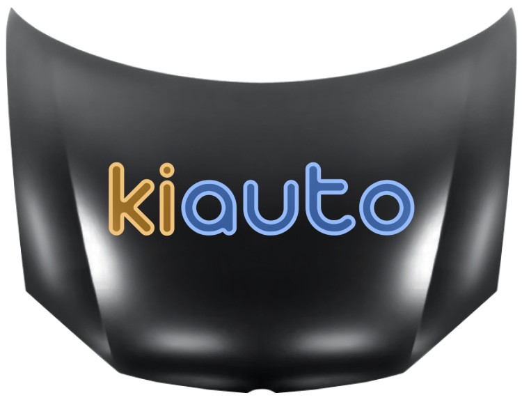Capo volkswagen jetta 2005-2011 delantero / muelle de gas OE 1K0823031J