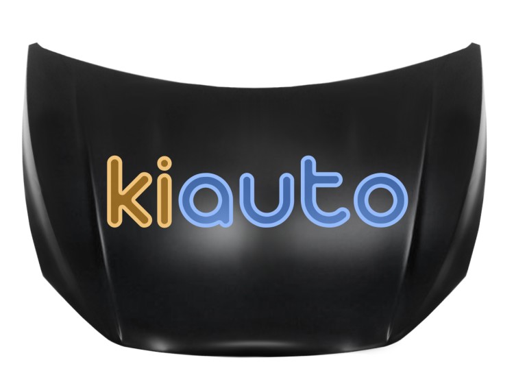 Capo volkswagen polo 2017-2021 delantero OE 2G0823031J