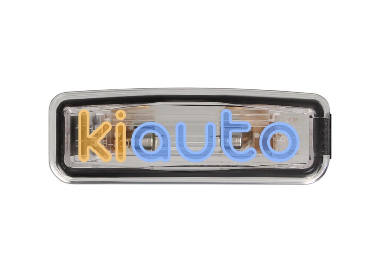 Luz de matricula ford focus 2001-2005 trasera OE 1066481 / 1089043 / 1100511