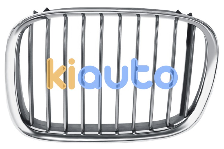 Rejilla bmw serie 5 (e39) 1994-2001 frente izquierda OE 51138159315